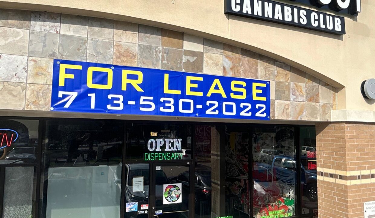 Adobe Express - file (1)